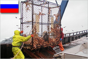 ロシア北オホーツク海のカニ漁
