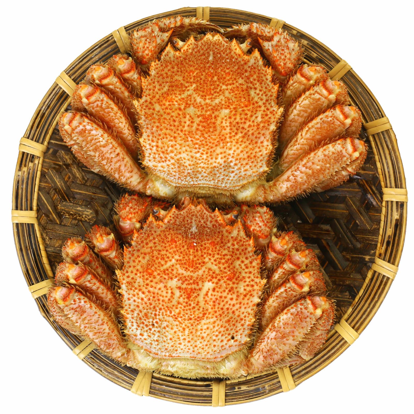 毛がに中型440g前後