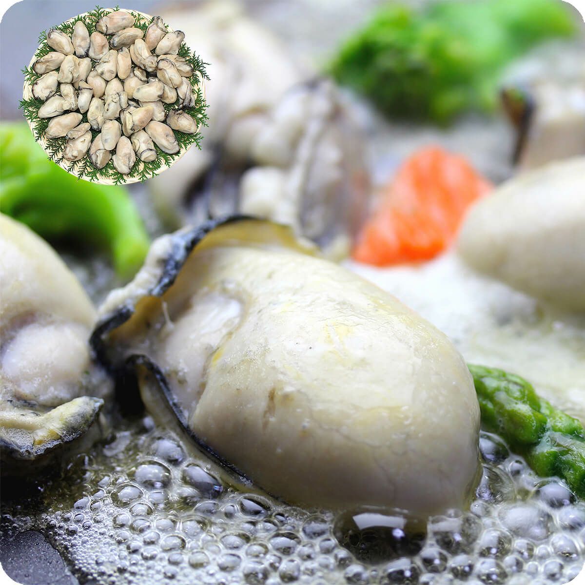 ジャンボ広島かき1kg