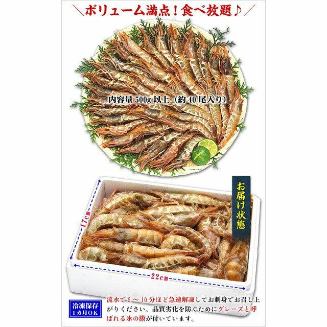 越前がらえび500g 約40尾 越前かに職人 甲羅組