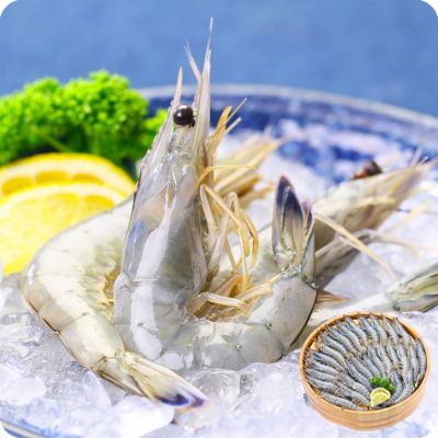 高級クルマエビを超えた！？天使の海老1kg（30～40尾入）【天使の海老】【天使のえび】【天使のエビ】