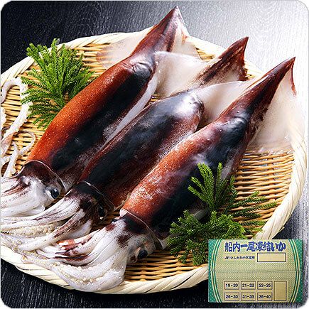 日本海の船凍するめいか業務用8kg 18 本入り 1本400g前後 越前かに職人 甲羅組 日本海の船凍するめいか業務用8kg 18 本入り 1本400g前後 越前かに職人 甲羅組