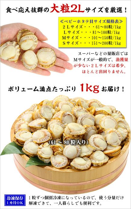 浜蒸しベビーホタテ貝むき身たっぷり1kg（2Lサイズ/61-80粒入り） | 越前かに職人 甲羅組