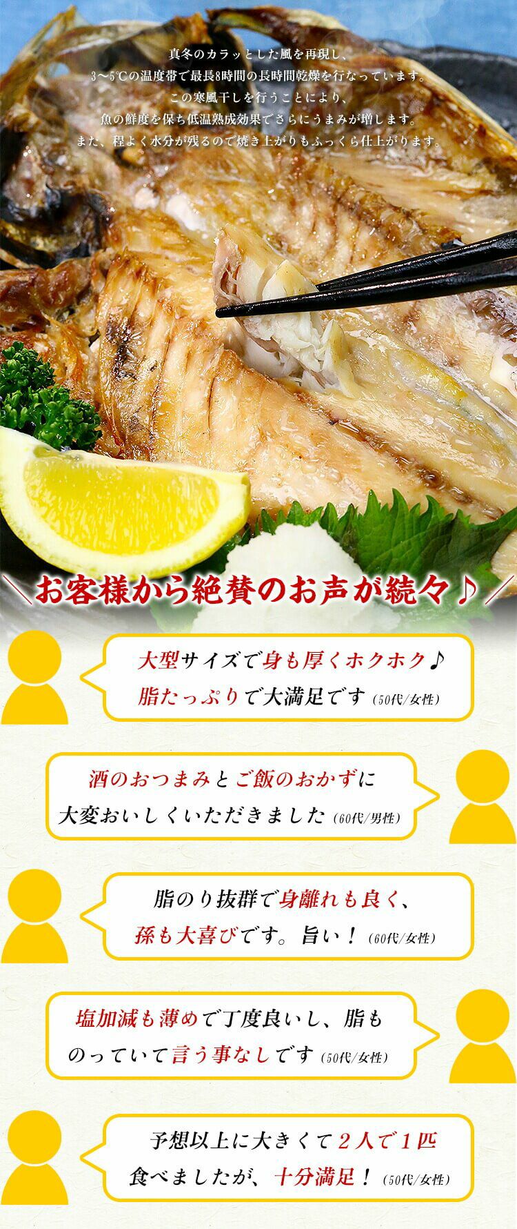 グリルからはみ出る 脂のり抜群の特大とろあじ一夜干し300g前後 2枚入り 越前かに職人 甲羅組