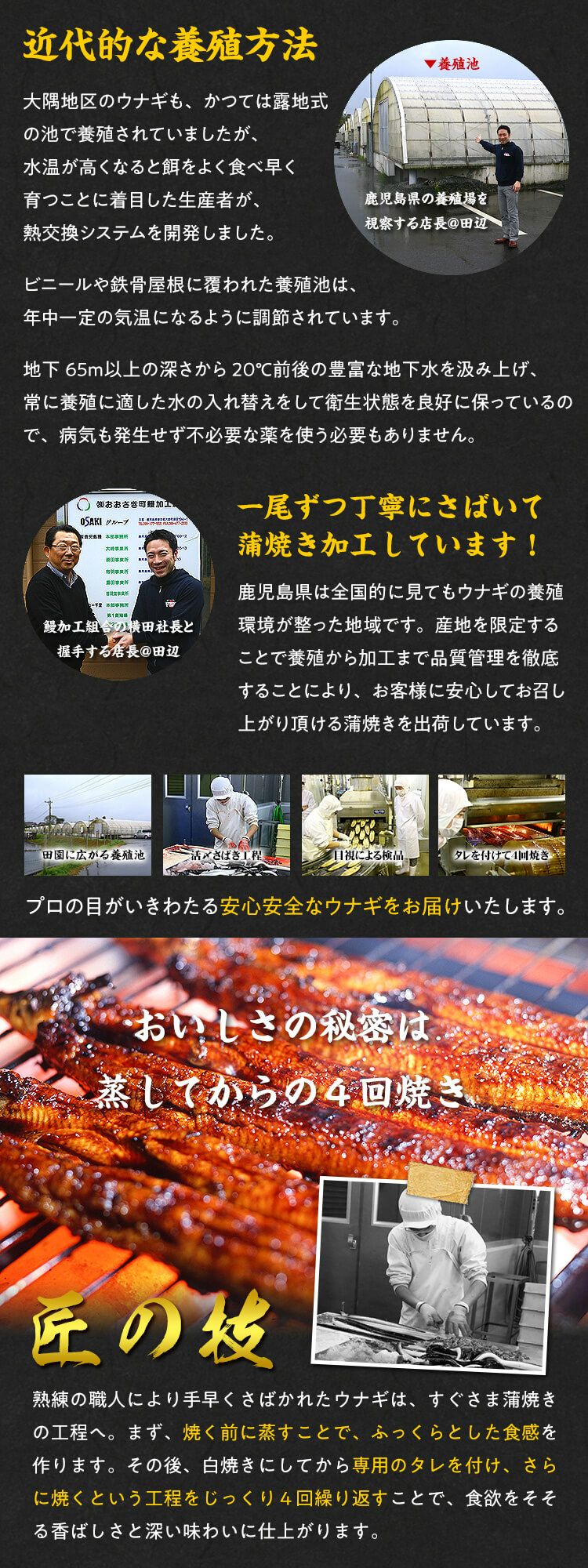 国産うなぎ蒲焼き約250g前後 2尾入り 化粧箱 食べ方説明書 タレ 山椒付き 越前かに職人 甲羅組