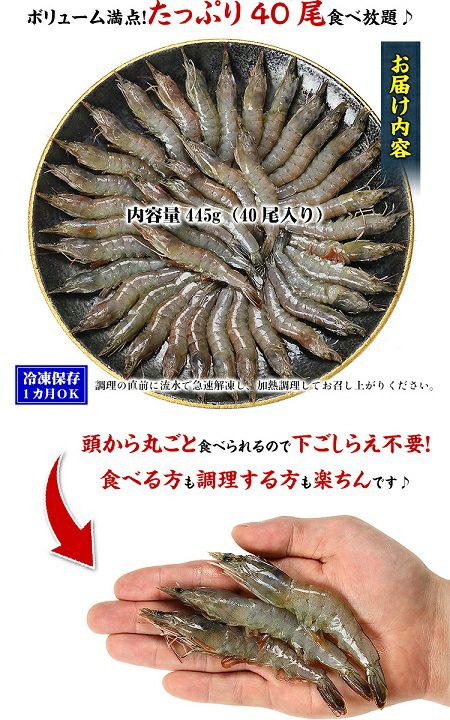 ソフトシェルシュリンプ 脱皮直後のバナメイエビ 40尾入 越前かに職人 甲羅組