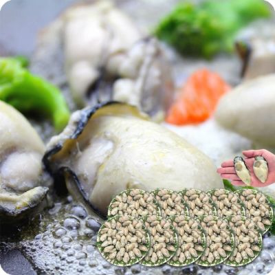 ジャンボ広島かき業務用10kg（解凍後1㎏あたり850g⁄約26～35粒