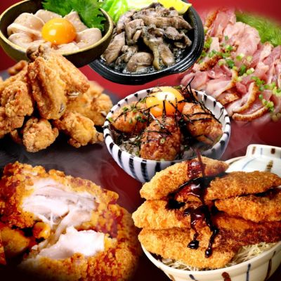 毎月28日・2月8日  限定販売 甲羅組の 新28(肉・福)袋 全7品 送料無料 福袋 詰め合わせ セット 鶏 鶏肉 惣菜 にわとりの日