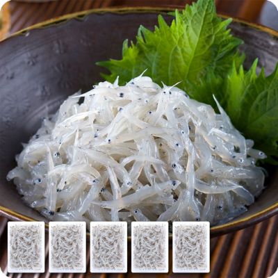愛媛県産 本場の朝どれ生しらす250g シラス